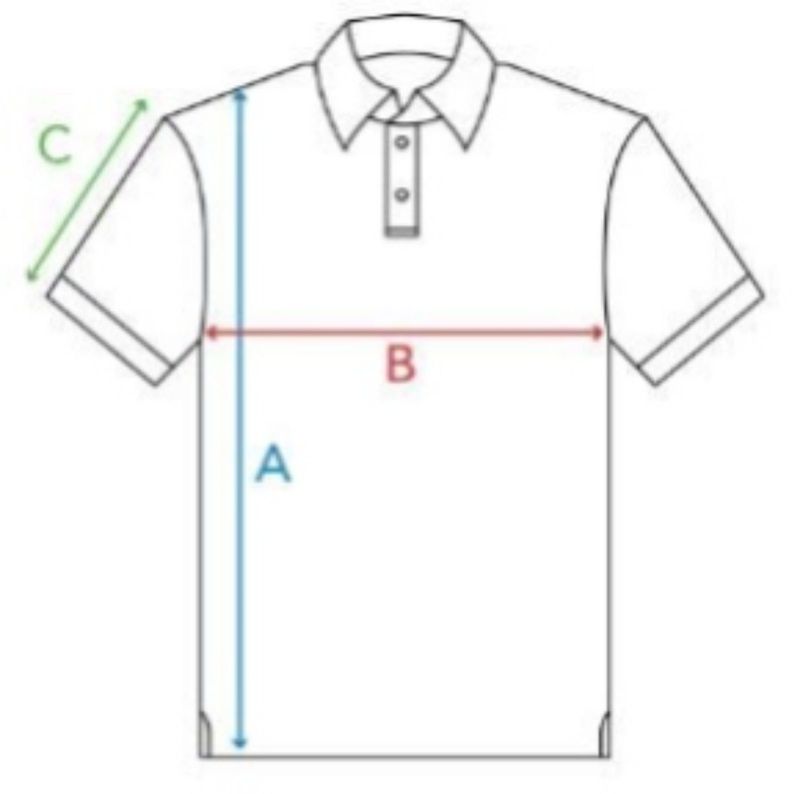 POLO THE NORTH FACE, foto 7