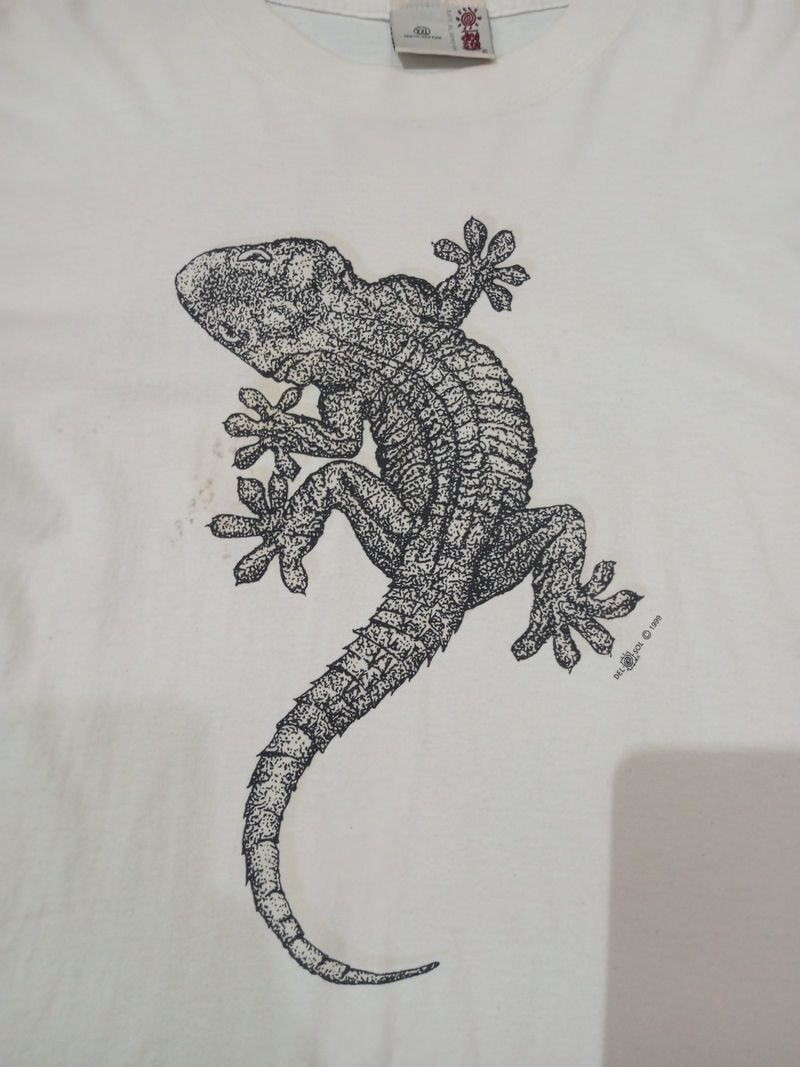 Baju cicak, foto 3