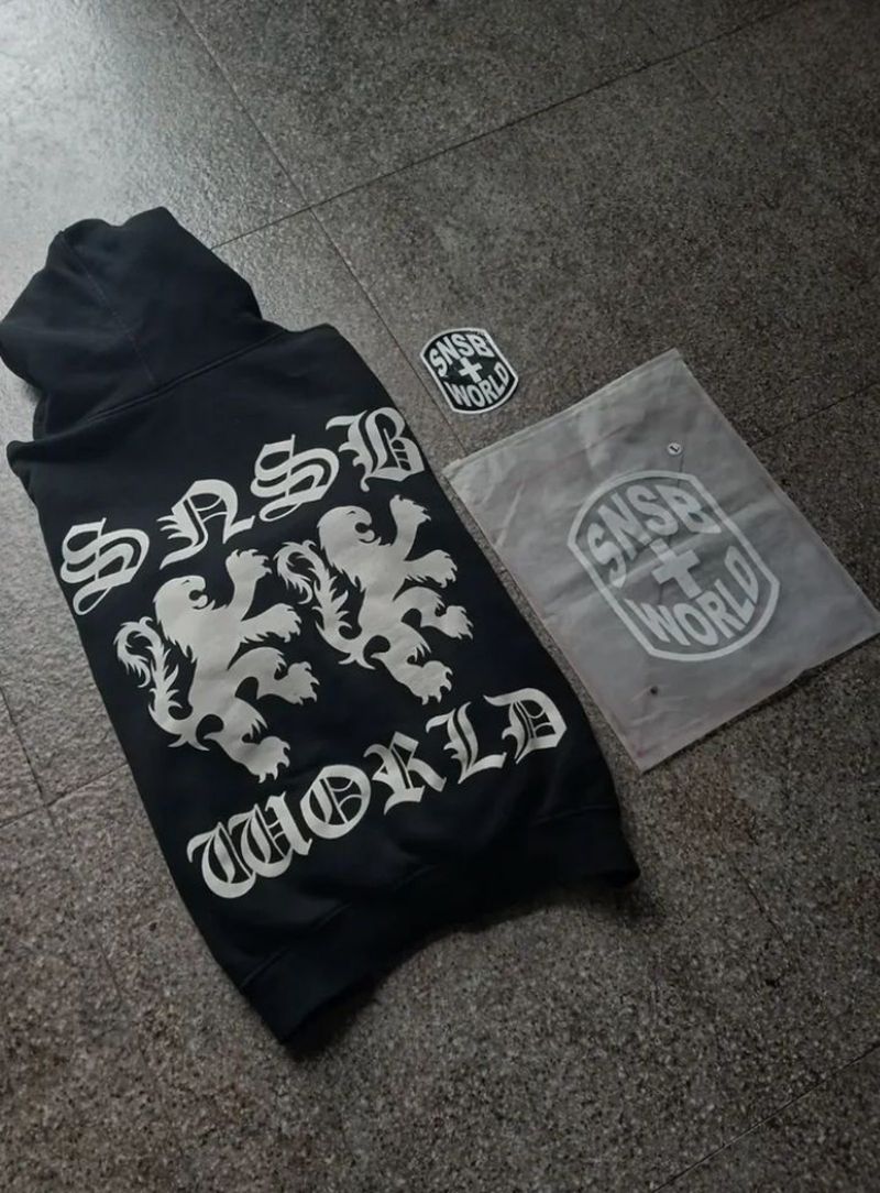 hd snsb, foto 3