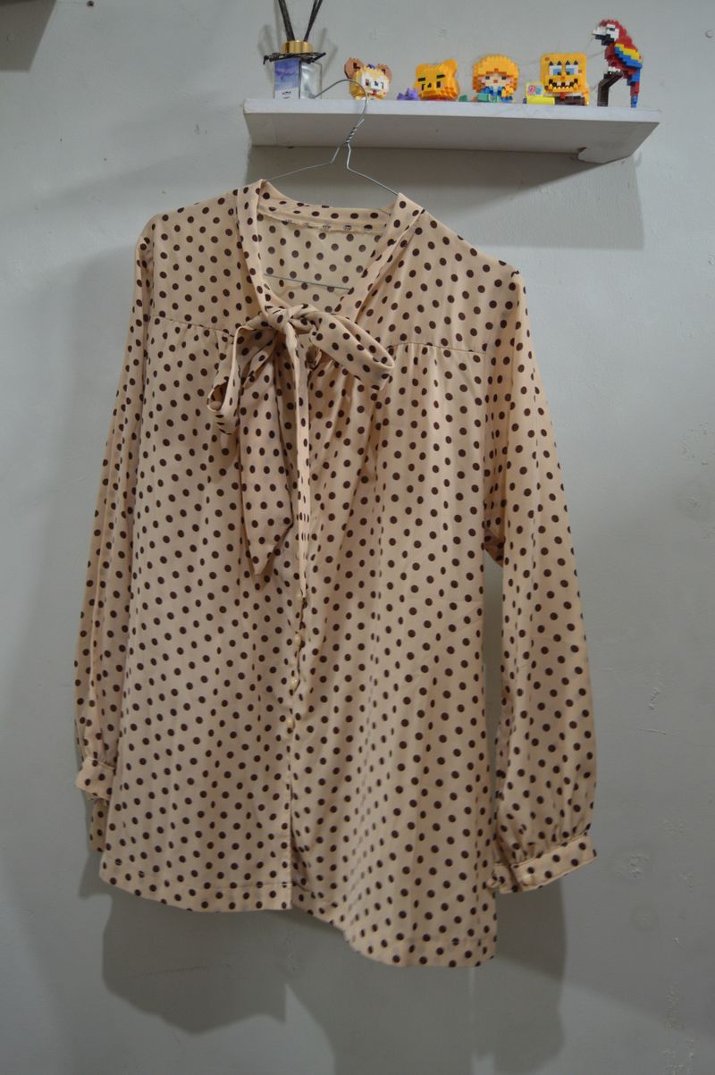 Kemeja Pita Korea, foto 2
