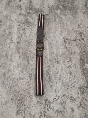 Garis coklat