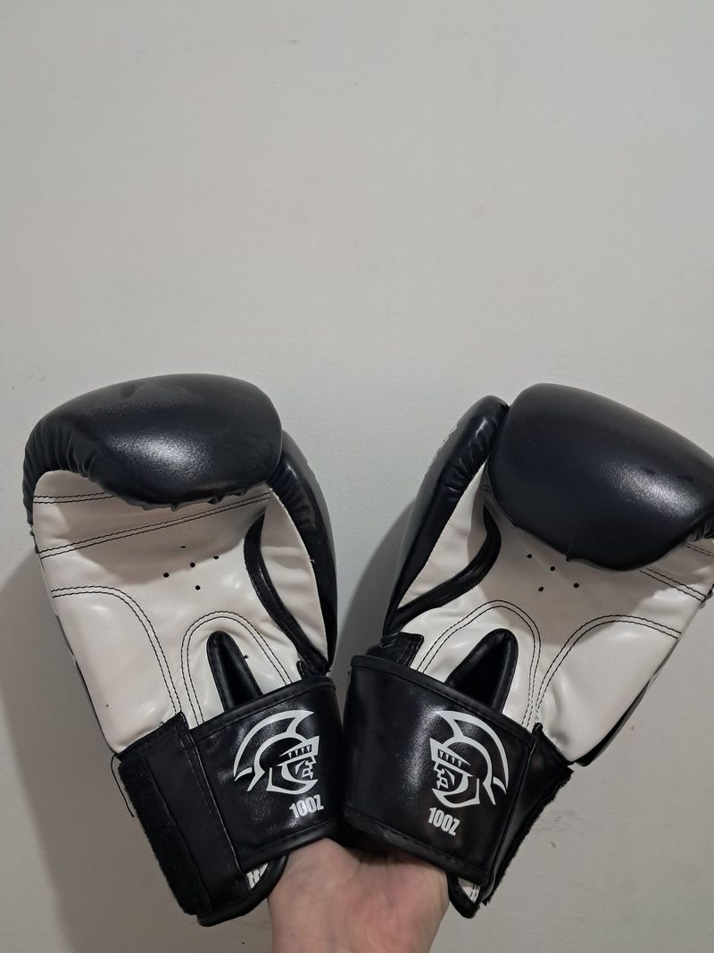 Gloves muaythai boxing pretorian 10oz, foto 2