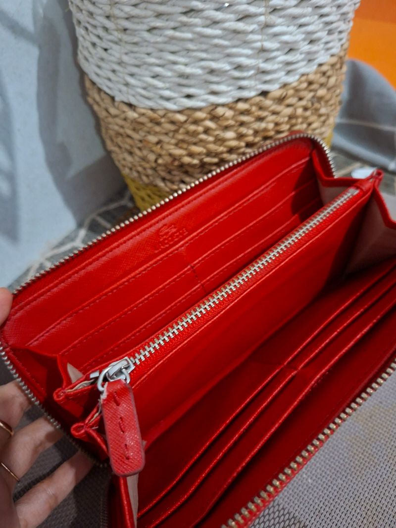 LACOSTE DOMPET, foto 4