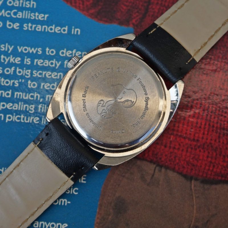 Charlie Brown Snoopy by Peanuts Seiko Movement, foto 6