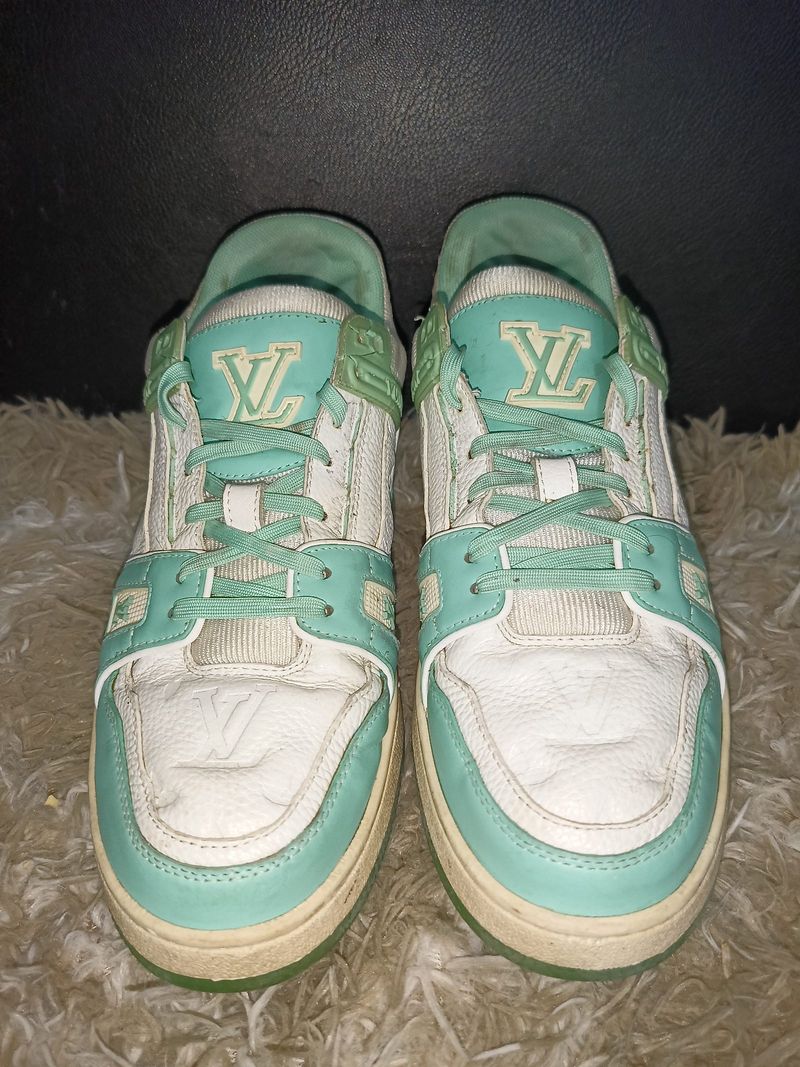 LV trainer 41, foto 2