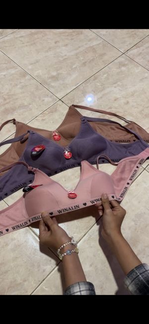 BRA SPORT DAILY