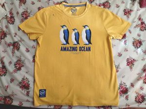 Giordano Penguin Shirt from Amazing Ocean Collection