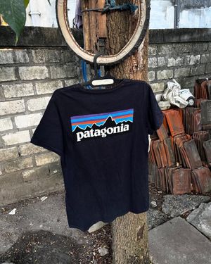 Patagonia Tshirt