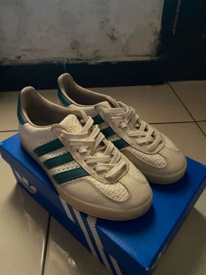 Adidas gazelle indoor