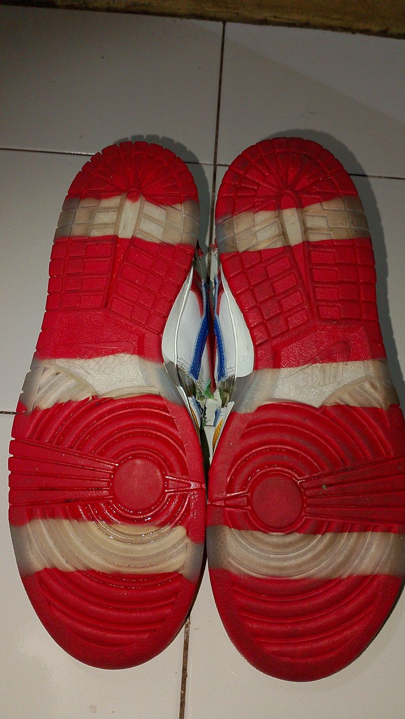 Sepatu Nike sb Dunk low Sandy bodecker, foto 5