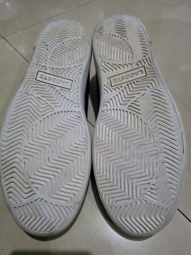 Lacoste Carnaby Evo Leather, foto 7