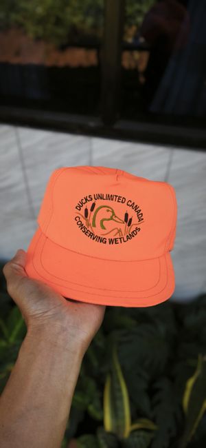 Vintage hat duck unlimited