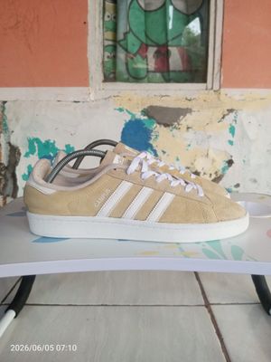 Adidas Campus Mist Sun (42)