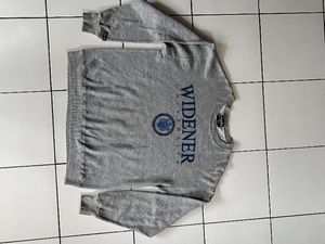 JanSport Vintage Sportswear Sweater Pria gray