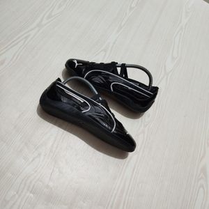 Puma ballet