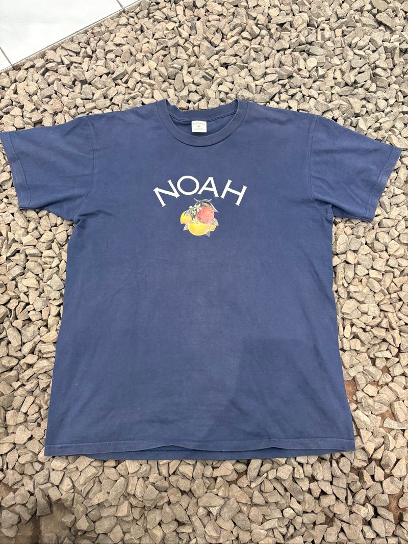 Noah, foto 4