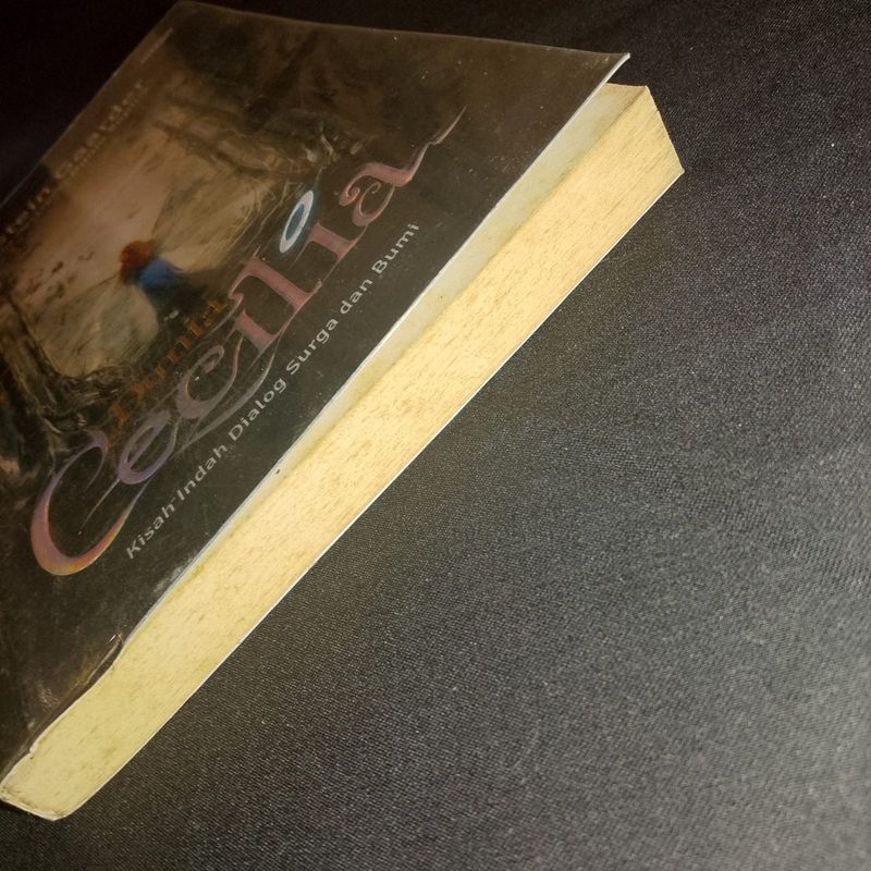 Dunia Cecilia - Novel | Jostein Gaarder, foto 5