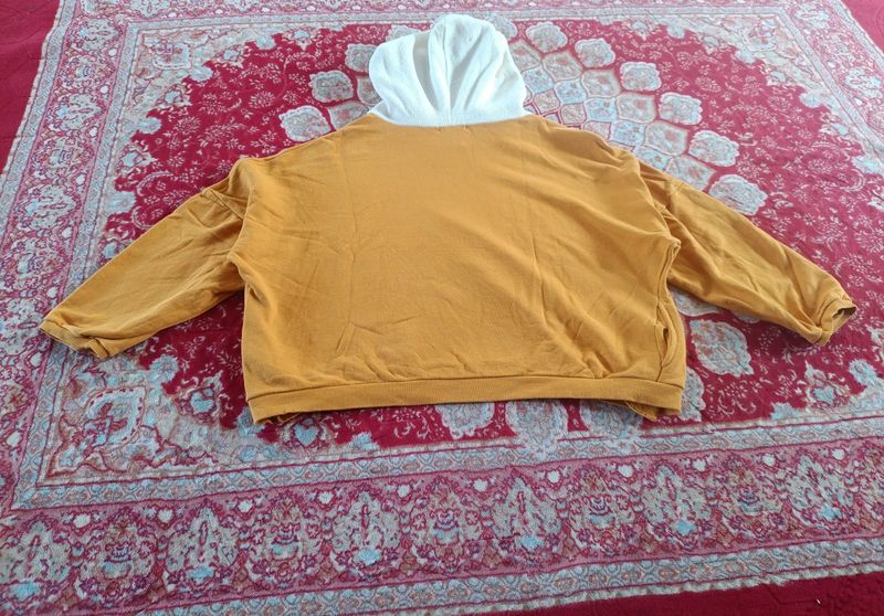 Hoodie Boxy, foto 3