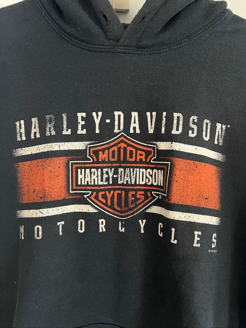 Hoodie Harley Davidson EUC Billboard Distressed, foto 3