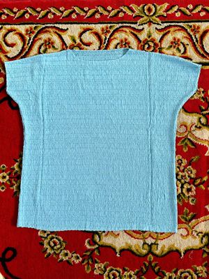 Issey miyake Pleatsme blouse