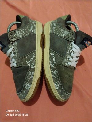 Dickies Casual Skate Shoe “Versatile Black x Travis Scott”