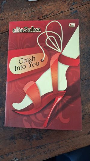 Novel aliaZalea yang berjudul Crash Into You