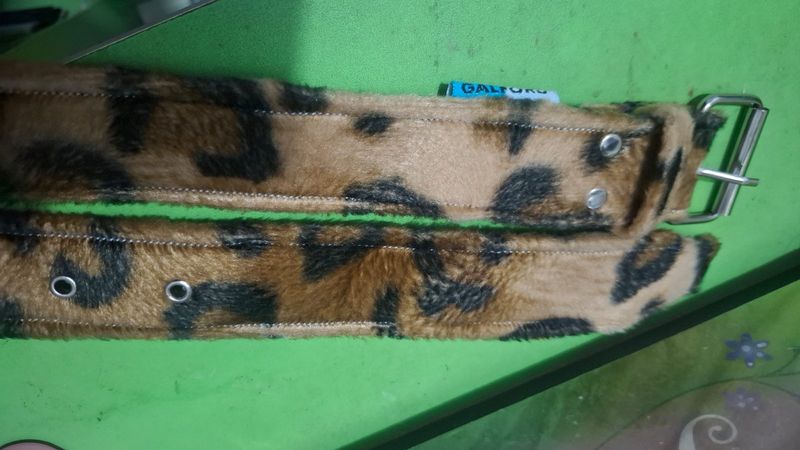 Belt Leopard/ Cheetah, foto 2