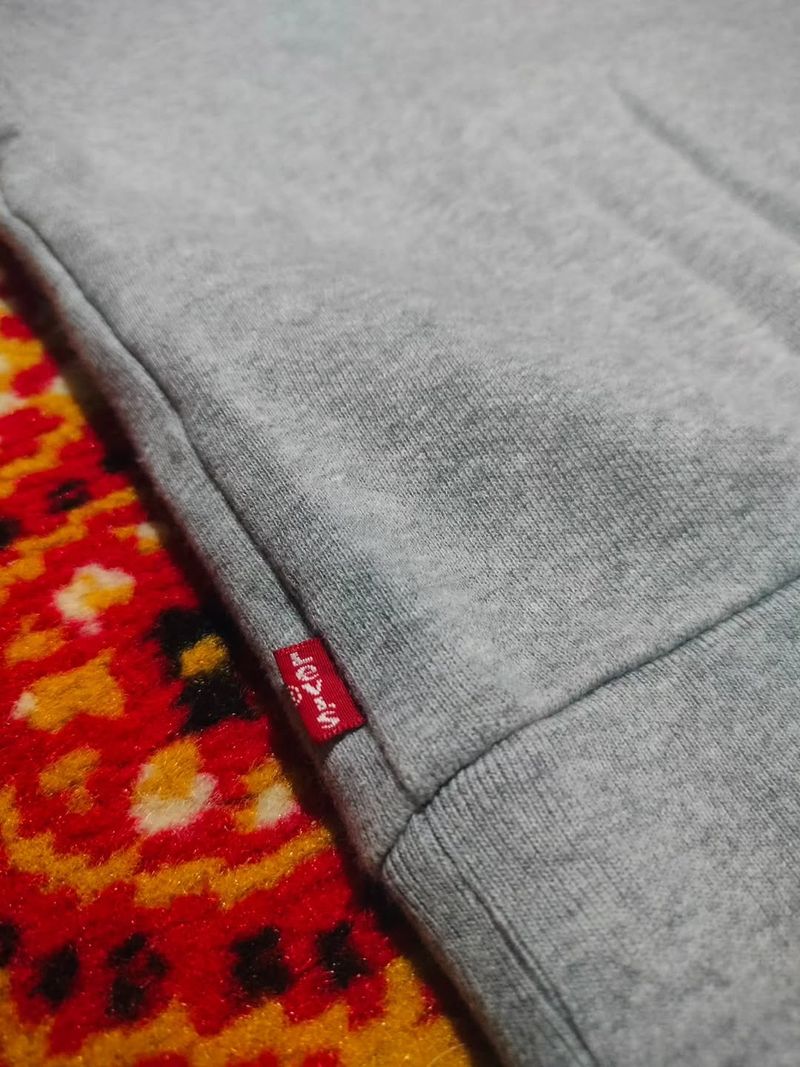 LEVIS LOGO GRAY HOODIE | OUTERWEAR  | DNY, foto 9
