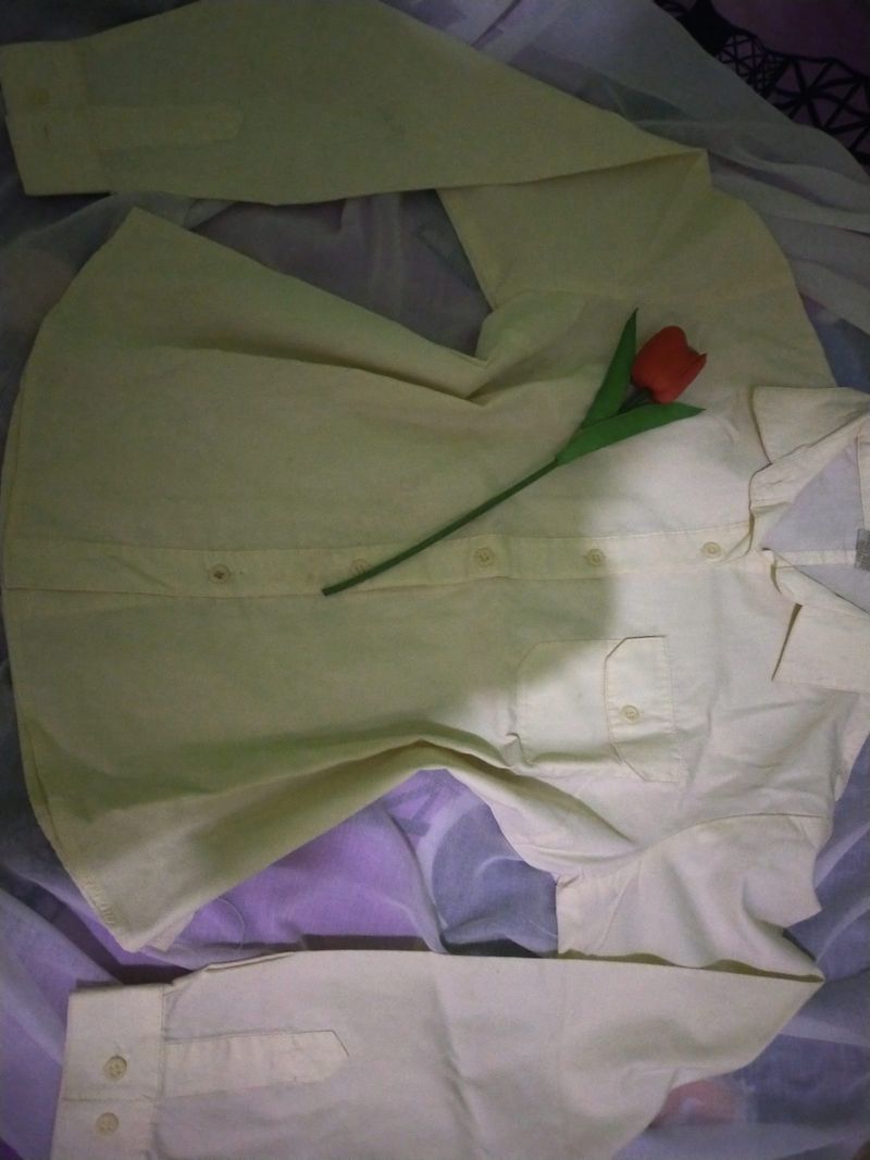 KAMEJA WANITA CREAM, foto 2