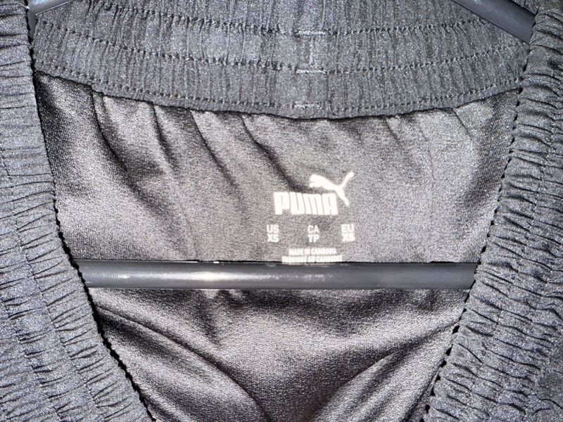 Puma, foto 3