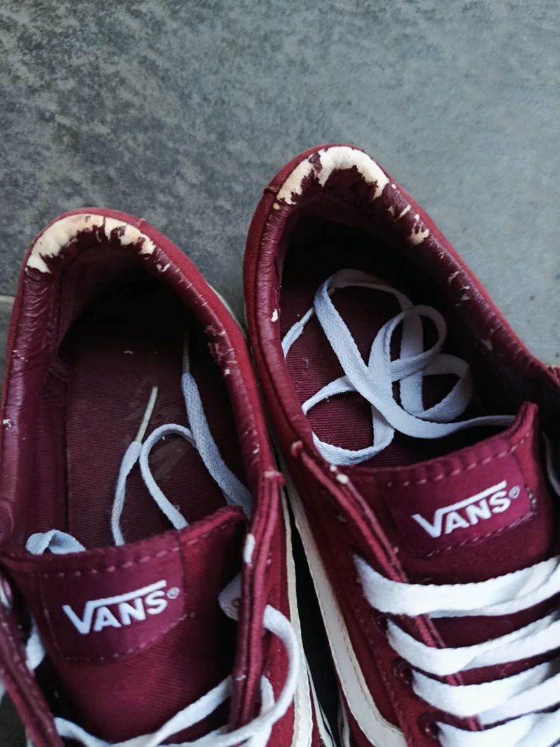 Vans ward low maroon, foto 6