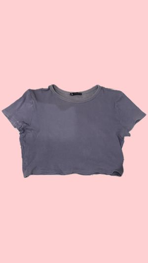 Zara Crop Tops