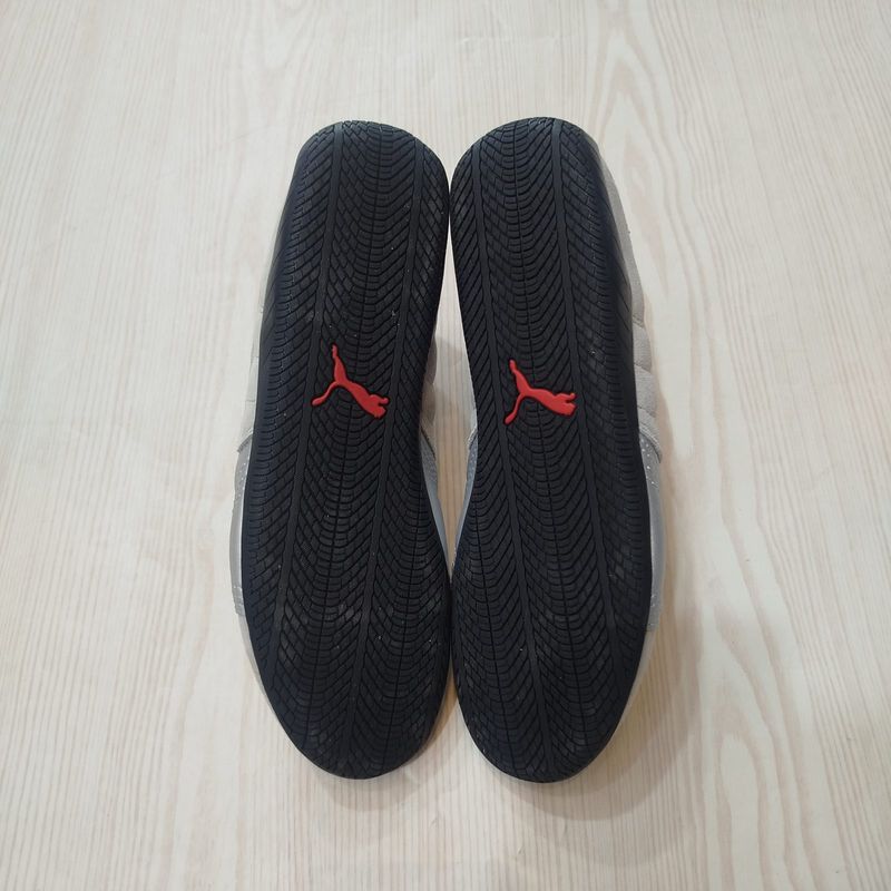 Puma, foto 5