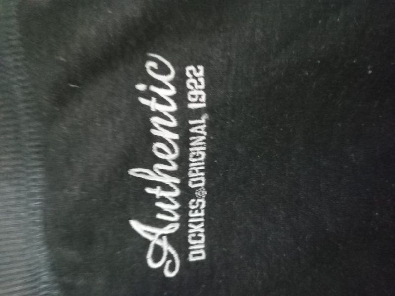 Dickies Casual Casual pants Pria gray, foto 2