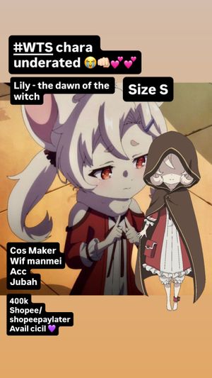 Costume Lily- the dawn of the witch size S fullset