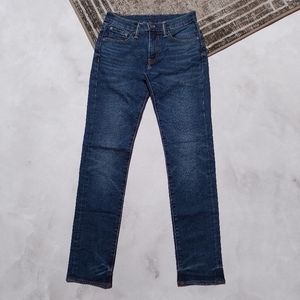 Levi's Streetwear Casual Jeans Pria multicolor blue