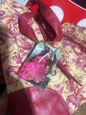taylor swift bag