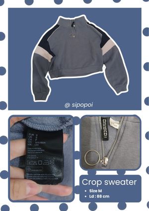 H&M Divided Cropped O-Ring Quarter Zip Sweatshirt