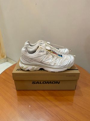 Salomon Xt-6 Lunar Rock