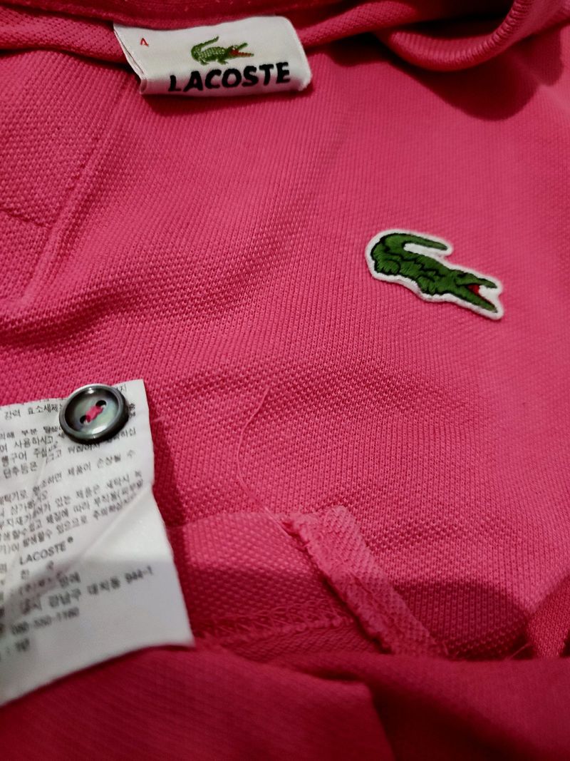 LACOSTE POLO, foto 2