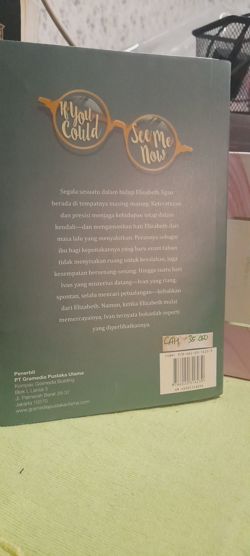 Chicklit If You Could See Me Now Cecelia Ahern, foto 2