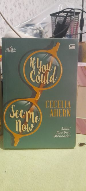 Chicklit If You Could See Me Now Cecelia Ahern