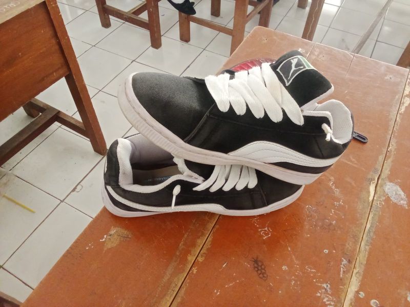 Puma ori pemakaian 2 hari, foto 2