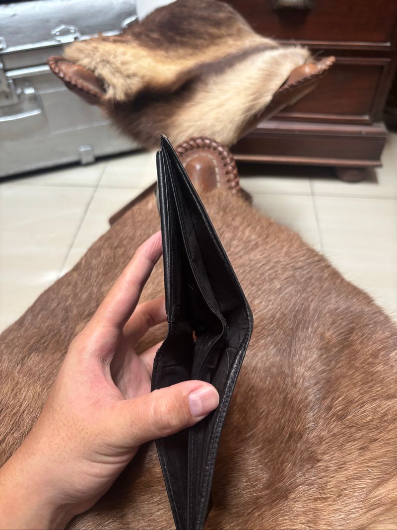 Braun buffle wallet, foto 6