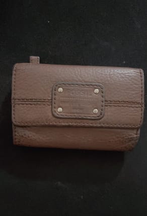 Fossil autc
