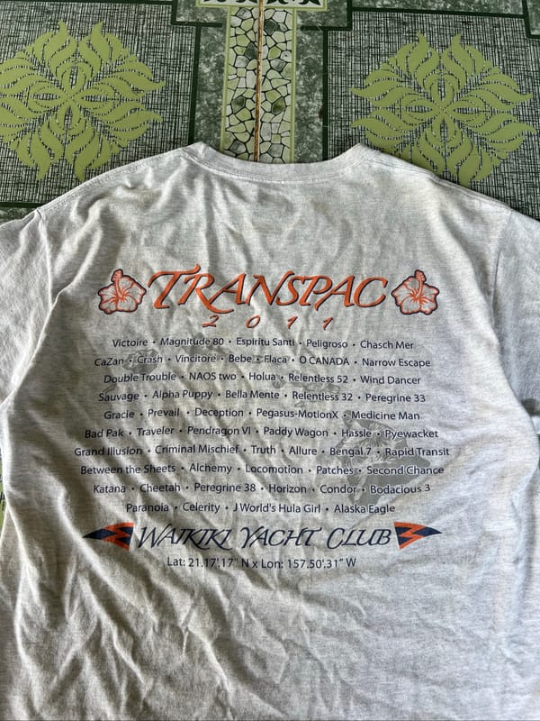 T shirt Hanes, foto 2