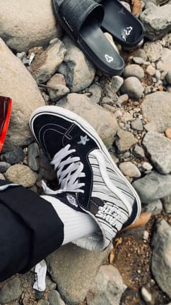 Vans sk8