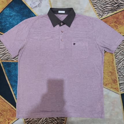 Polo Shirt Pierre Cardin