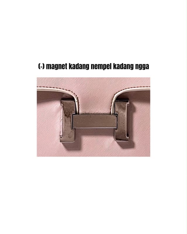 Hermes Bag, foto 2