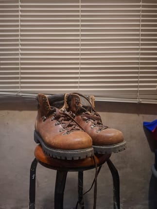 Sepatu kulit